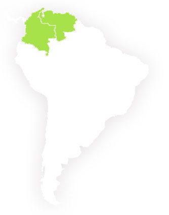 Depilarte en America Latina