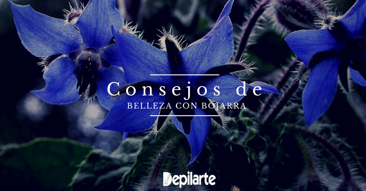 Consejos de belleza con Borraja