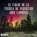 El valor de la fuerza de voluntad abre. Frase de Walt Disney