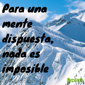 Proverbio Japones para Emprendedores