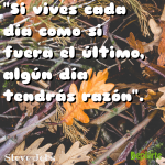 Frase para Emprenedores de Steve Jobs en Depilarte