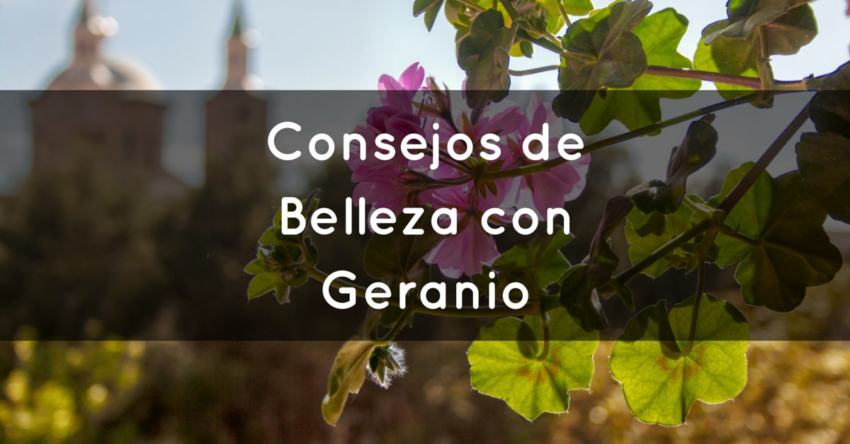Consejos de Belleza con Geranio