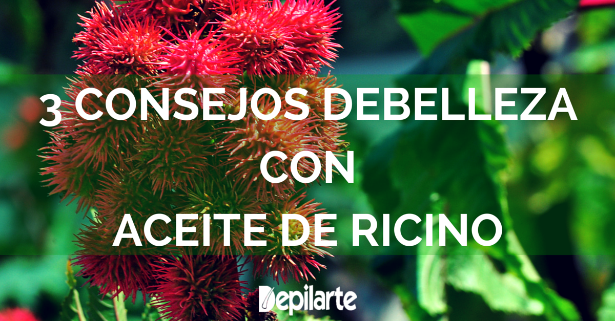 consejos de belleza con aceite de ricino